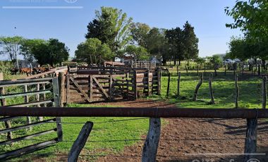 Campo en Venta 2500 has Entre Rios