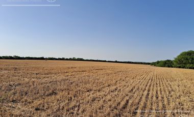 Campo en Venta 2500 has Entre Rios