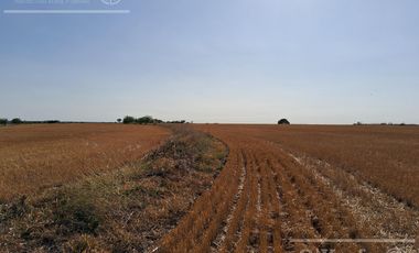 Campo en Venta 2500 has Entre Rios