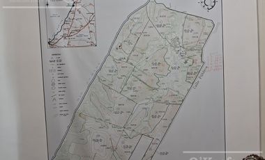 Campo en Venta 2500 has Entre Rios