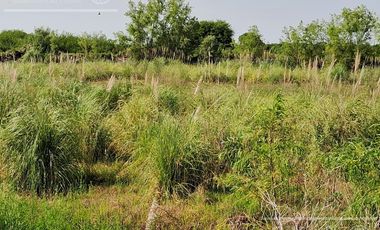 Campo en Venta 2500 has Entre Rios