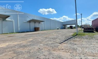 ALQUILER DEPOSITO 2600M2 - RUTA 2 - GBA SUR - LA PLATA - IDEAL LOGISTICA.