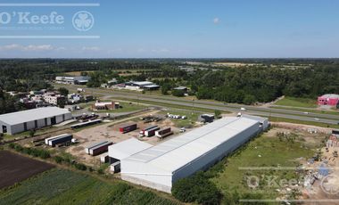 ALQUILER DEPOSITO 2600M2 - RUTA 2 - GBA SUR - LA PLATA - IDEAL LOGISTICA.