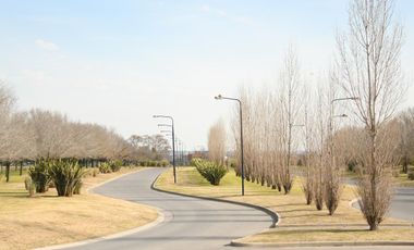 Lote a laguna Area 8