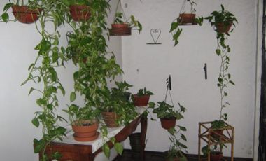 Lindísima Casa - Jose Marmol