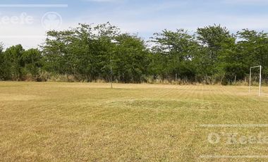 Quincho en venta Abasto en lote de  6000 m2 - Escritura directa!!!