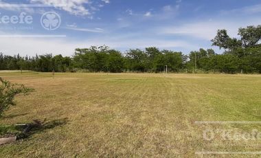 Quincho en venta Abasto en lote de  6000 m2 - Escritura directa!!!