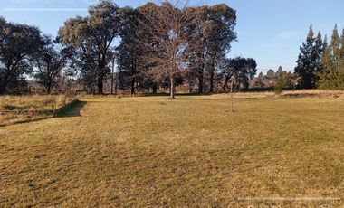 Quincho en venta Abasto en lote de  6000 m2 - Escritura directa!!!