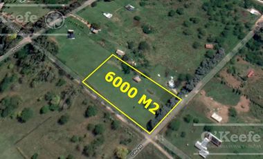 Quincho en venta Abasto en lote de  6000 m2 - Escritura directa!!!