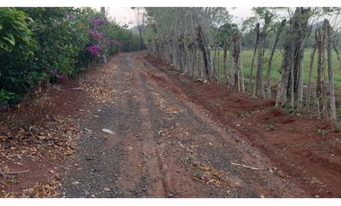 LA CHORRERA / FINCA PARA DESARROLLO INMOBILIARIO / 19 HECTAREAS