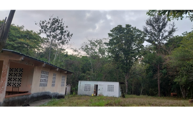 SE VENDE FINCA PARA DESARROLLO INMOBILIARIO CHORRERA 19 HECTAREAS