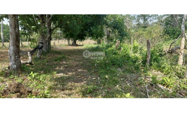 SE VENDE FINCA PARA DESARROLLO INMOBILIARIO CHORRERA 19 HECTAREAS