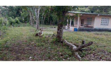 SE VENDE FINCA PARA DESARROLLO INMOBILIARIO CHORRERA 19 HECTAREAS