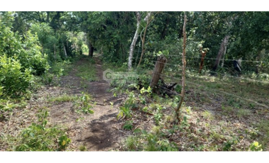 SE VENDE FINCA PARA DESARROLLO INMOBILIARIO CHORRERA 19 HECTAREAS