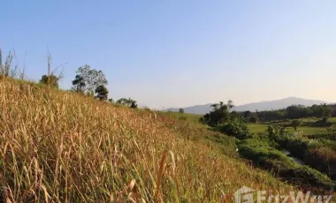 Land for sale in Pa Sang, Chiang Rai