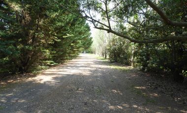 Casa en Villa Elisa - Dacal Bienes Raíces