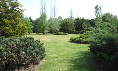 Casa en Villa Elisa - Dacal Bienes Raíces