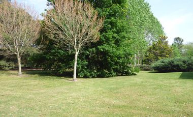 Casa en Villa Elisa - Dacal Bienes Raíces