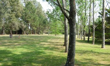 Casa en Villa Elisa - Dacal Bienes Raíces