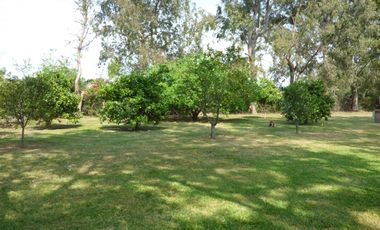 Casa en Villa Elisa - Dacal Bienes Raíces