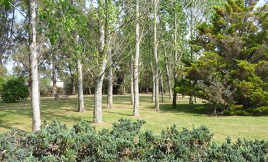 Casa en Villa Elisa - Dacal Bienes Raíces