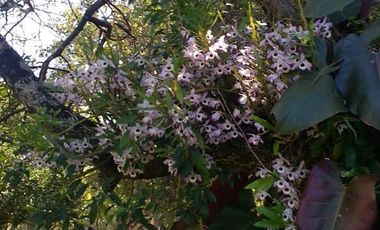 Casa en  Candelaria, Misiones