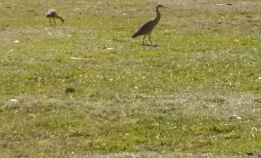 Casa en  Candelaria, Misiones