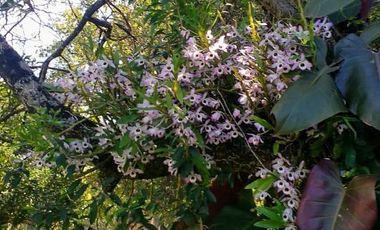 Casa en  Candelaria, Misiones