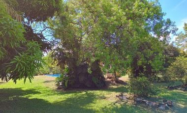 Casa en  Candelaria, Misiones