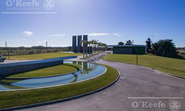 Lote en venta en los canales de Puerto Nizuc