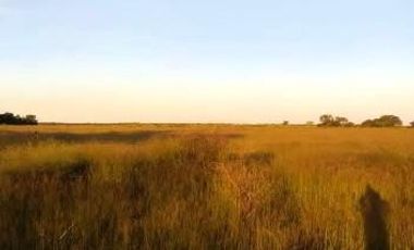 Campo en Bermejo - Pcia. de Formosa