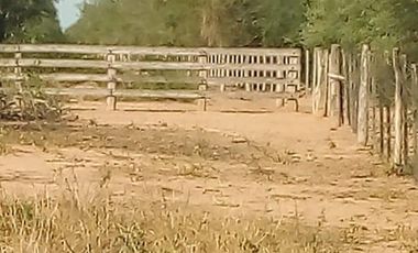 Campo en Bermejo - Pcia. de Formosa