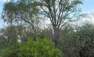 Campo en Bermejo - Pcia. de Formosa