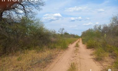 Campo en Bermejo - Pcia. de Formosa