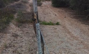 Campo en Bermejo - Pcia. de Formosa