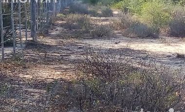 Campo en Bermejo - Pcia. de Formosa