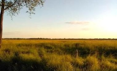 Campo en Bermejo - Pcia. de Formosa
