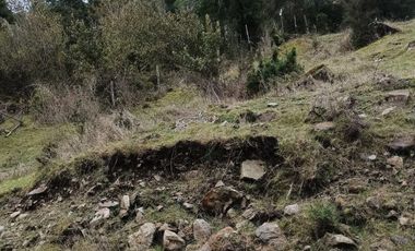 VENTA TERRENO 2 HECTAREAS SECTOR LAGO RANCO