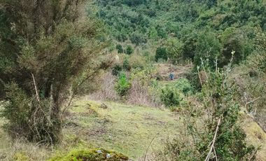 VENTA TERRENO 2 HECTAREAS SECTOR LAGO RANCO