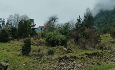 VENTA TERRENO 2 HECTAREAS SECTOR LAGO RANCO