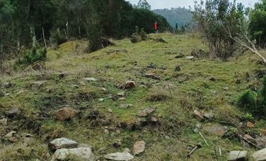 VENTA TERRENO 2 HECTAREAS SECTOR LAGO RANCO