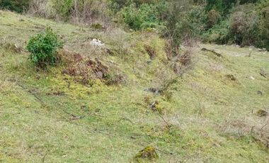 VENTA TERRENO 2 HECTAREAS SECTOR LAGO RANCO