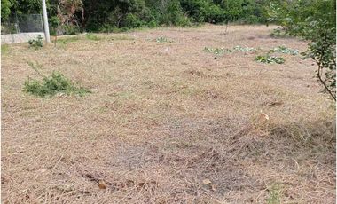 Lote para casa campestre en bonda