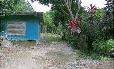 Finca ideal para proyecto autosostenible