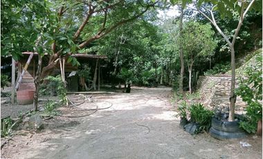 Finca ideal para proyecto autosostenible
