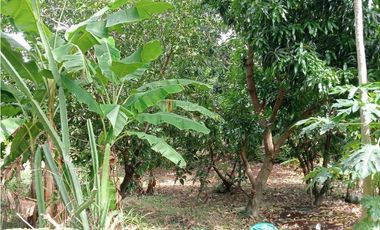 Finca ideal para proyecto autosostenible