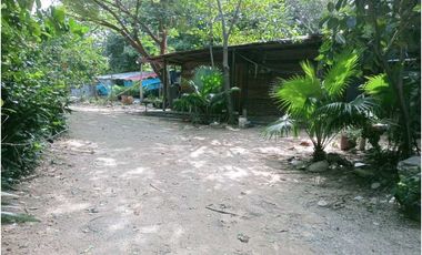 Finca ideal para proyecto autosostenible
