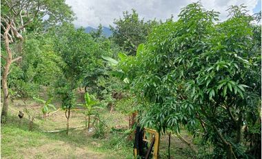 Finca ideal para proyecto autosostenible