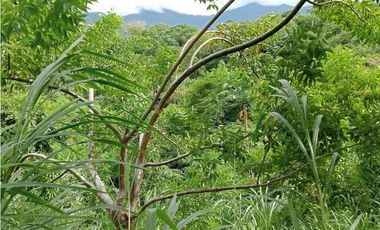 Finca ideal para proyecto autosostenible