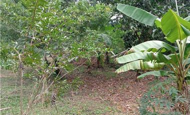 Finca ideal para proyecto autosostenible